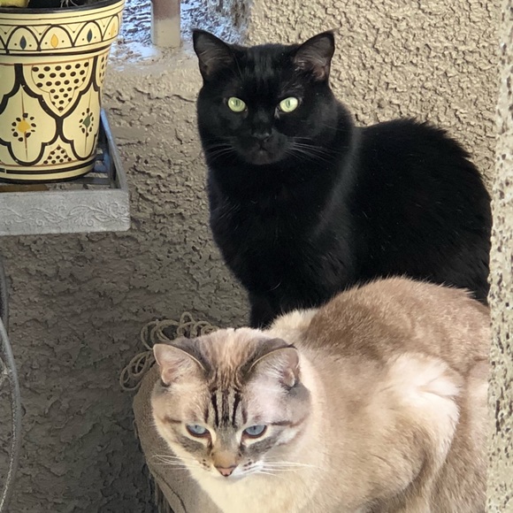 Hello...It’s me! Maxed out on Part 1!😍 - Picture 8 of 12